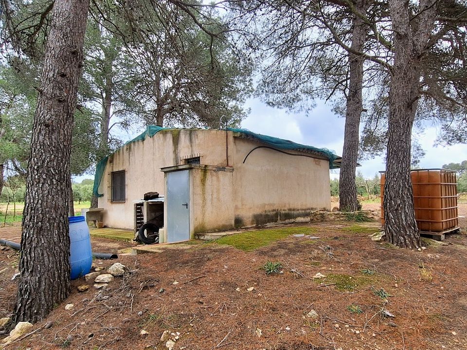 Finca i Tivissa, Tarragona - bilde 3